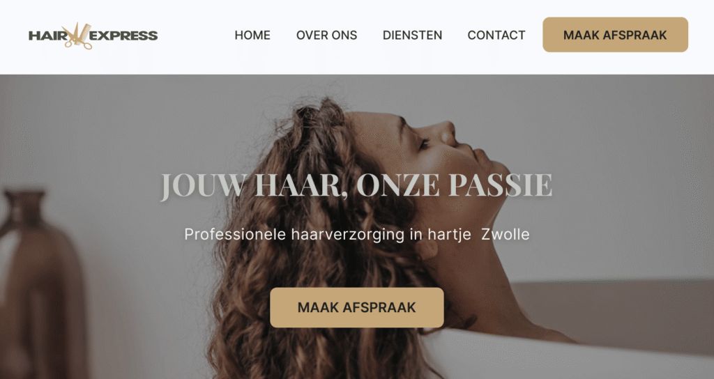 freelance webdesigner Nederland website's image